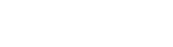 University Entrepreneurship Program